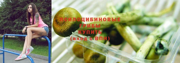 2c-b Арсеньев