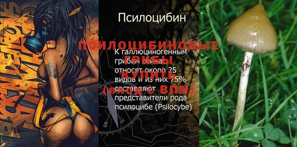 синтетический гашиш Балахна