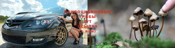 Альфа ПВП Аркадак