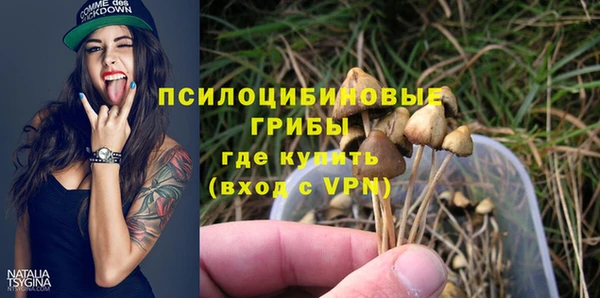 Альфа ПВП Аркадак