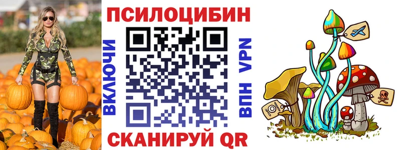 блэк спрут зеркало  Судак  Псилоцибиновые грибы прущие грибы 